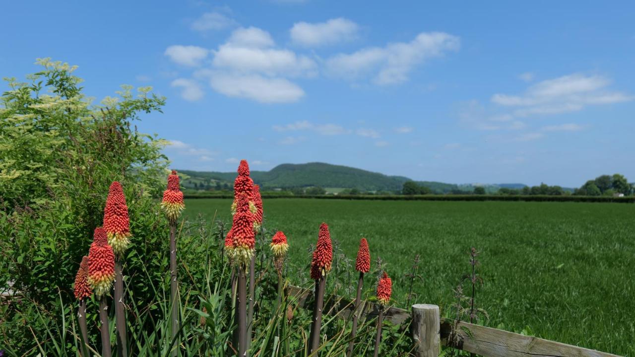 Country Cottage With Far Reaching Views Presteigne Eksteriør billede
